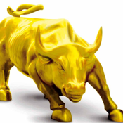 Gold Mining Bull